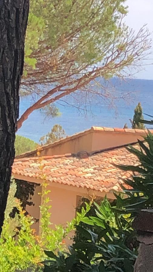 Villa Palombaggia Porto Vecchio Exterior foto